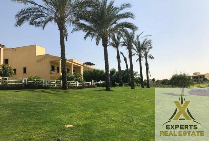 70877506 - صورة العقار 3