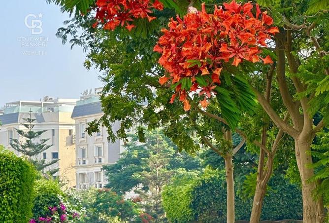 8690689 - صورة العقار 3