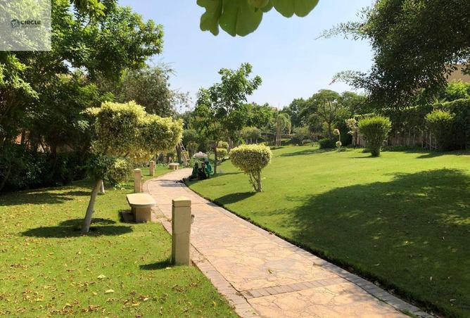 83393007 - الصورة الرئيسية للعقار