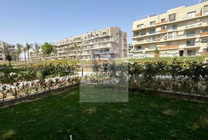 60954216 - Property Image 3