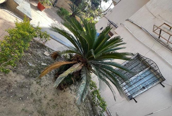 8447358 - صورة العقار 3