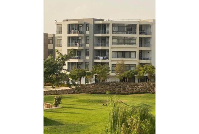 8590388 - صورة العقار 2