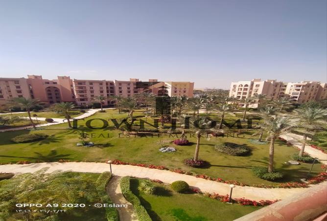 55006237 - Property Image 3