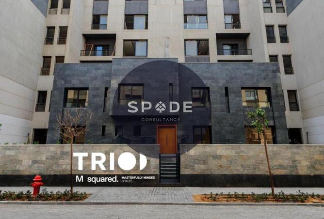 62648974 - Property Image 3