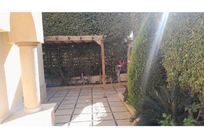 65413447 - صورة العقار 3