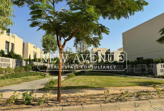 52447907 - Property Image 3