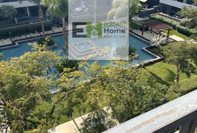 65157185 - Property Image 2