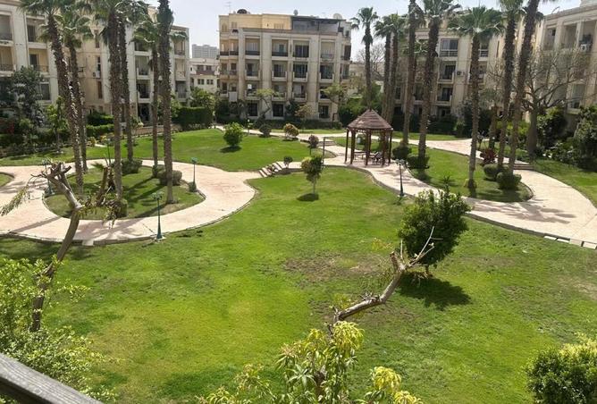 66426975 - Property Main Image