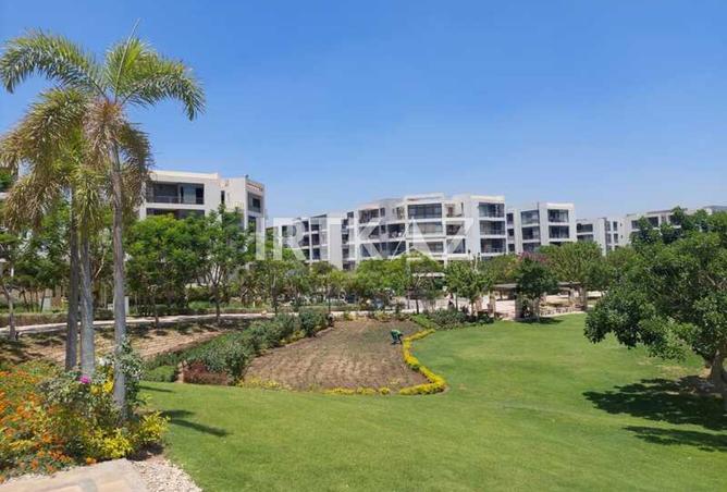 64649030 - صورة العقار 3