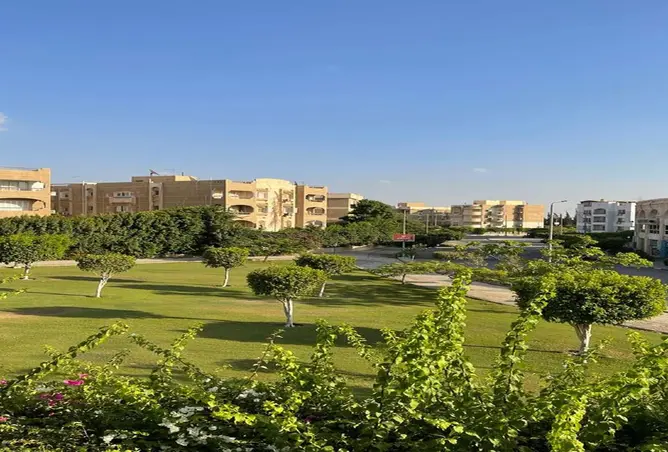115717629 - صورة العقار 3