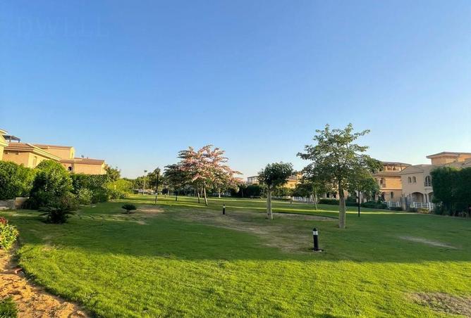 78135847 - صورة العقار 3