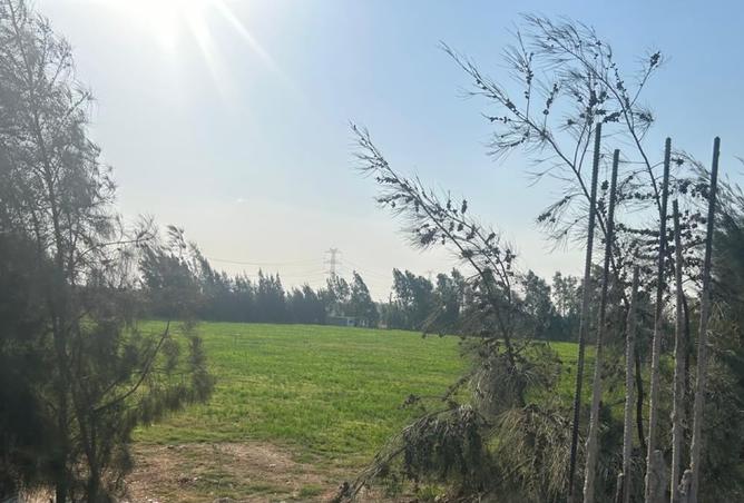 101479406 - صورة العقار 2