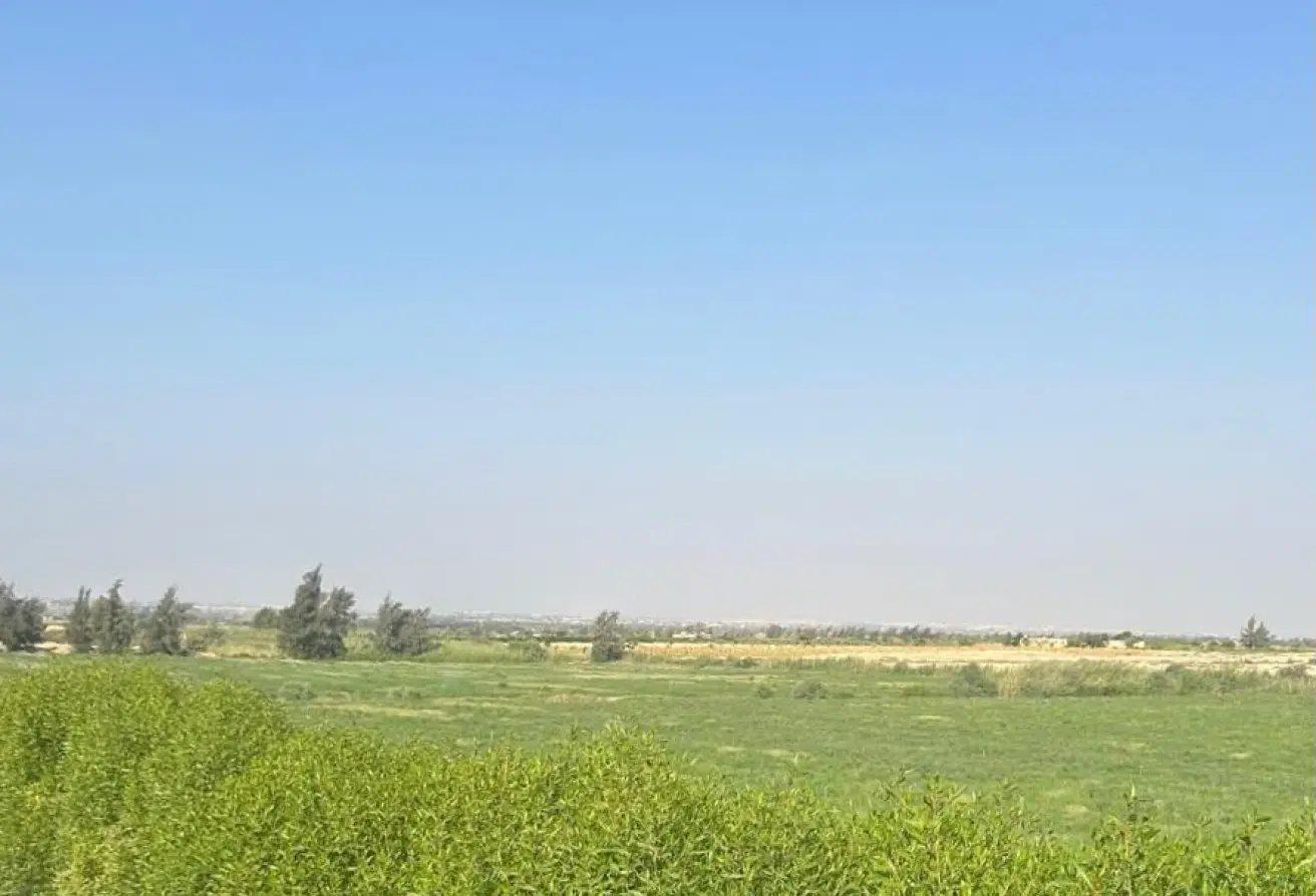 101479406 - الصورة الرئيسية للعقار