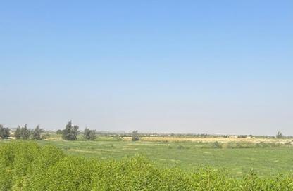 Land - Studio for sale in Wadi Al Natron - Al Behera