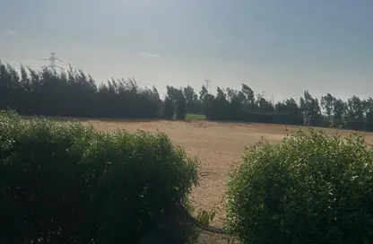 قطعة أرض - استوديو للبيع في وادي النطرون - البحيرة قطعة أرض - استوديو للبيع في وادي النطرون - البحيرة