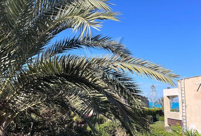 8669263 - Property Main Image