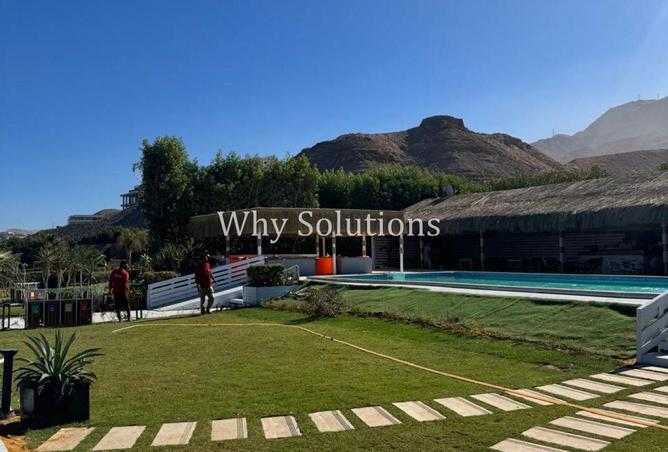 8580431 - Property Image 2