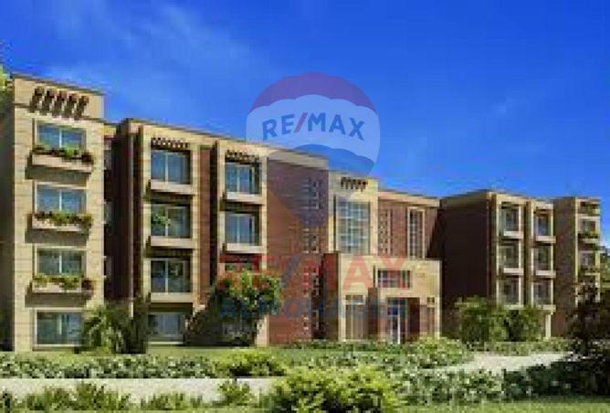 8595835 - Property Image 3