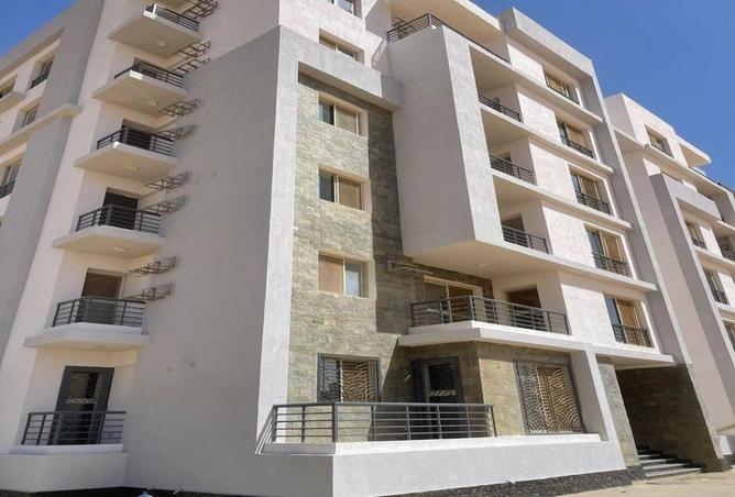 62647946 - Property Image 3