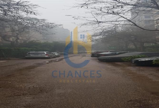 53723334 - Property Image 3