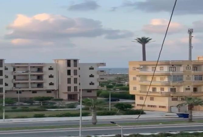 53477912 - صورة العقار 3