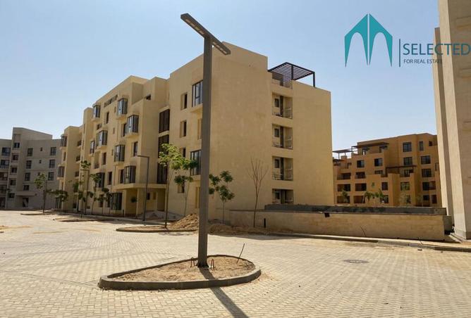 8503738 - Property Image 3