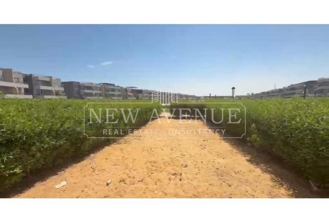 90167899 - Property Image 3