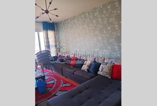 52452379 - Property Image 2