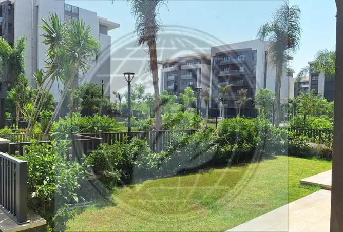 117527493 - Property Image 2