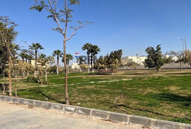 79984549 - صورة العقار 3