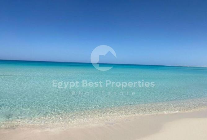 74594873 - Property Image 3
