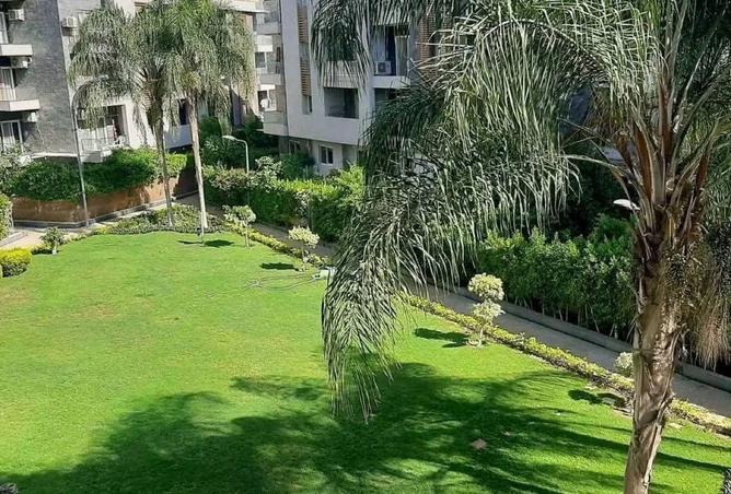 88400378 - صورة العقار 3