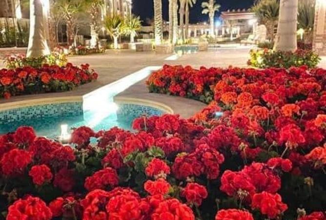 8535708 - صورة العقار 2