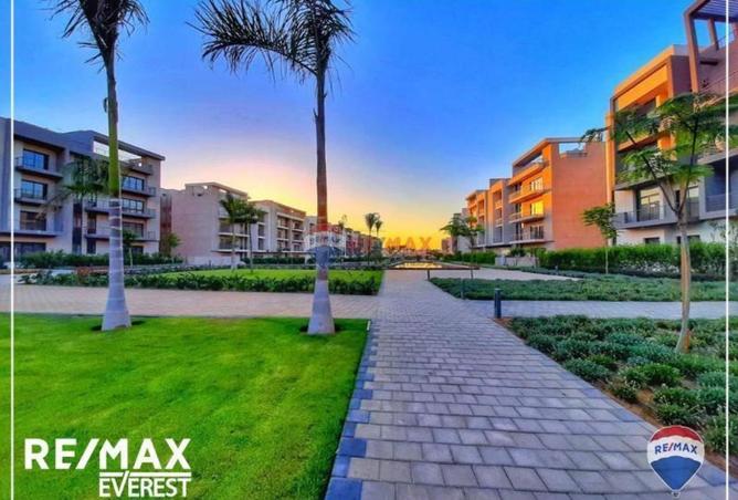 54354616 - Property Image 2