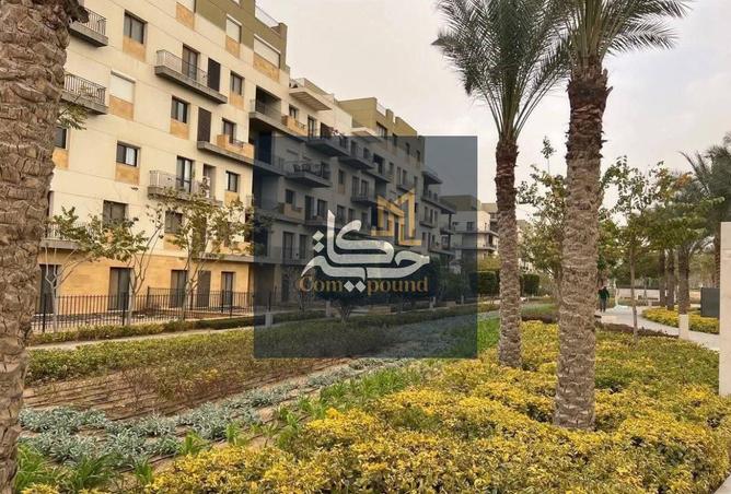 79727999 - صورة العقار 3