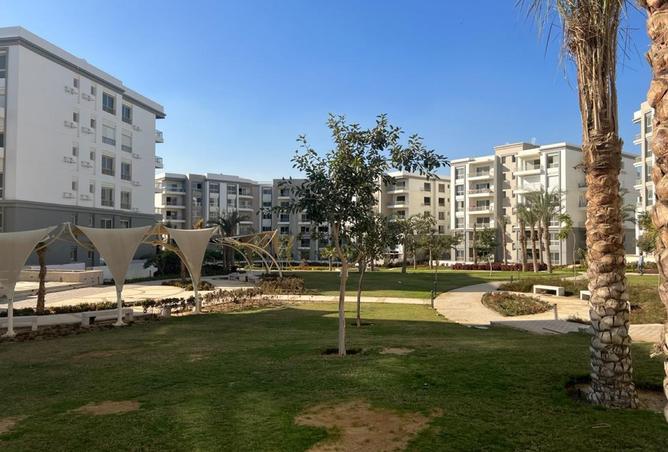 97706787 - Property Image 2