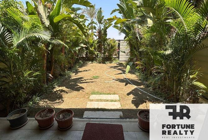 66167170 - Property Image 3