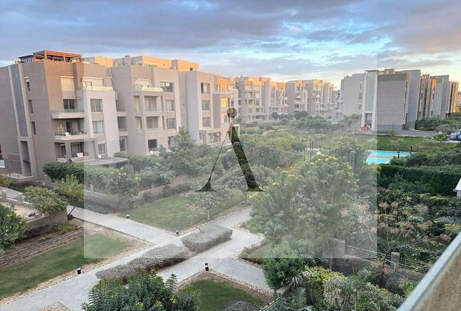 8600931 - Property Image 3