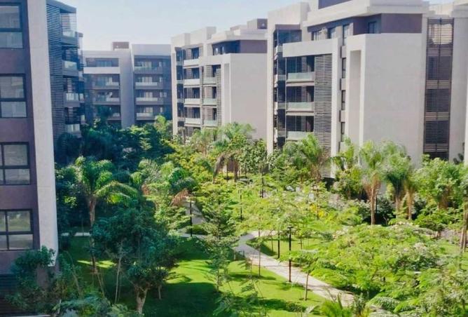 8416920 - صورة العقار 2