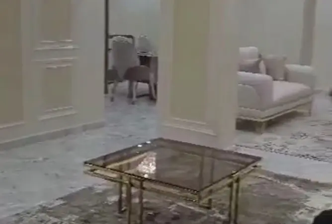 65412337 - صورة العقار 3