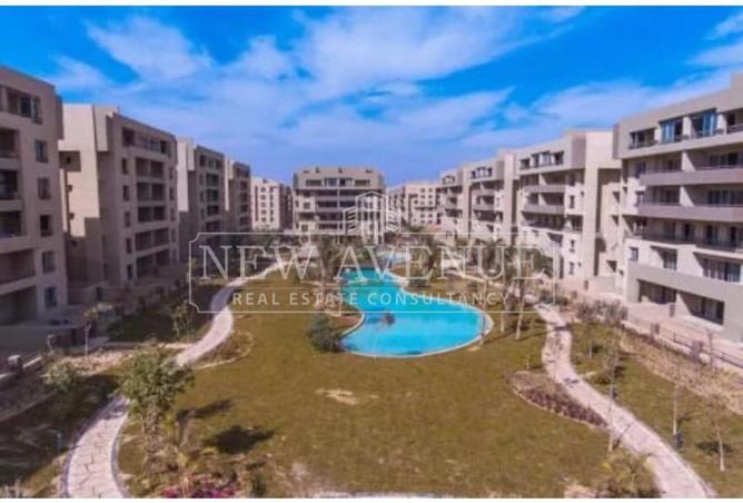 74584021 - Property Image 3
