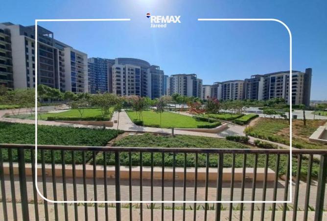 64650259 - Property Image 3