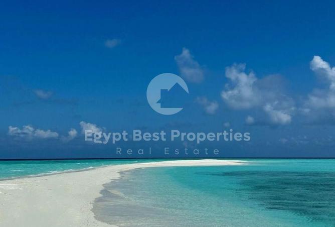 78662609 - صورة العقار 3
