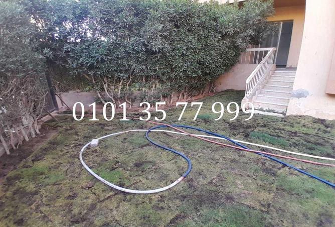 58996058 - Property Image 3