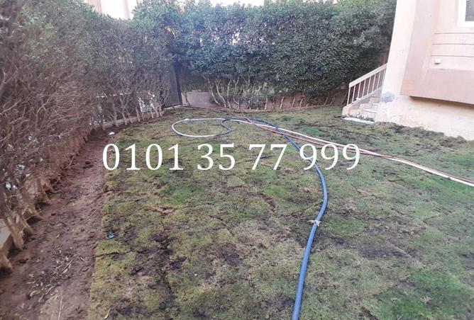 58996058 - Property Image 2