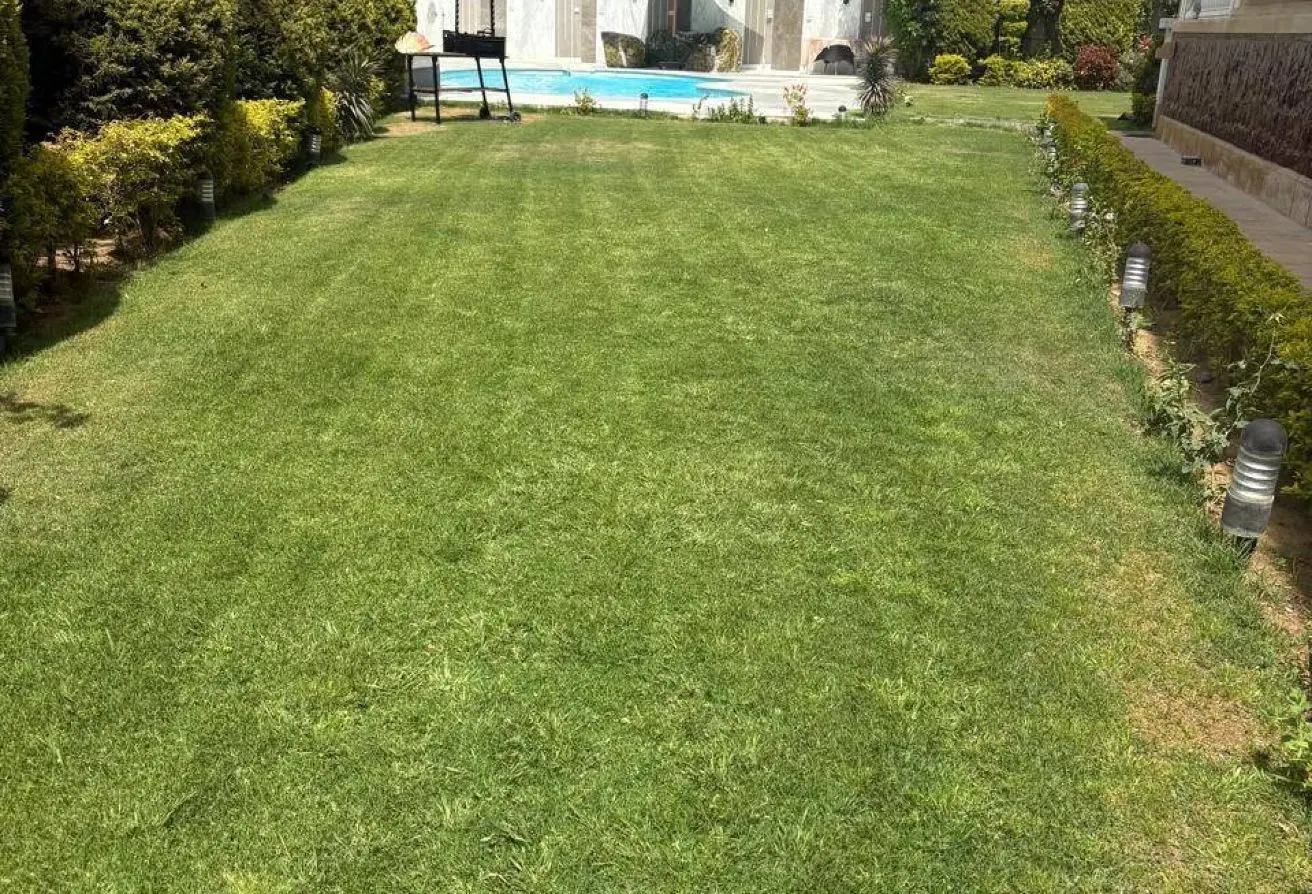 115155198 - Property Main Image