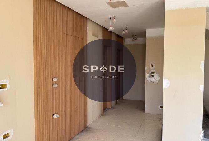 64385215 - Property Image 3