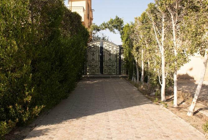 87517910 - صورة العقار 2