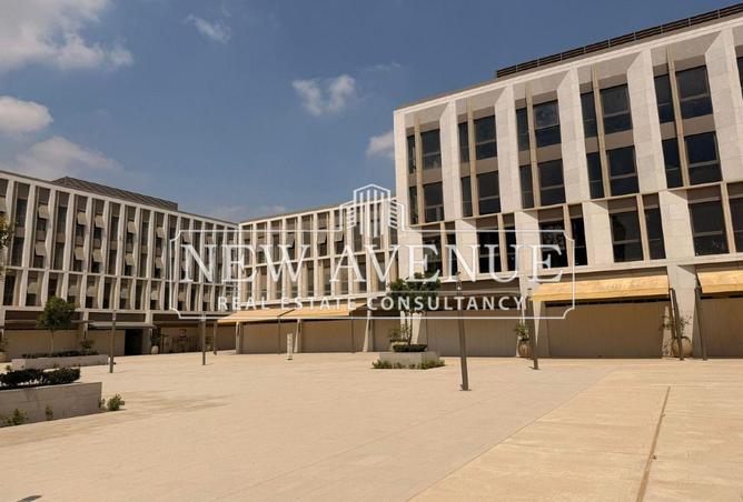 64378500 - Property Image 3