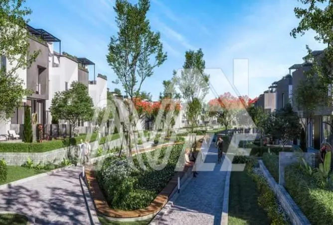111318206 - Property Image 3